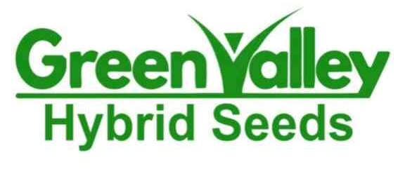 greenvalleyhybridseeds-logo